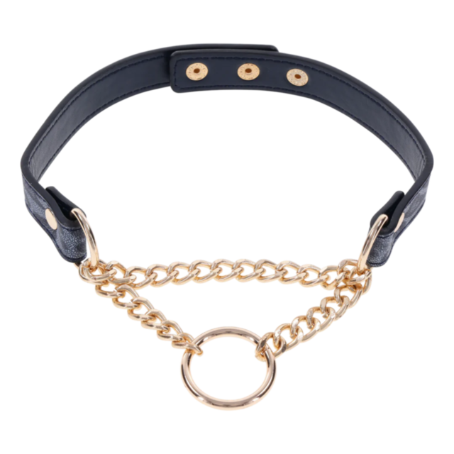 The Cougar Day Collar is a chic black choker adorned with gold hardware and detailing. It features a circular pendant, metal button closures, and two connecting chains that form a V-shape leading to the pendant, enhancing its sophisticated appeal.