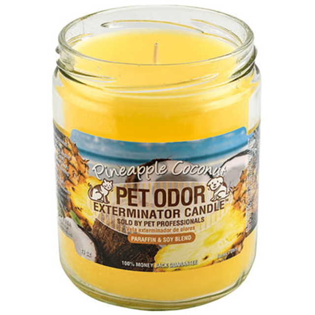 A garden filled with vibrant tulips and daffodils in full bloom, enveloped by verdant green grass infused with the delicate aroma of Pineapple Coconut from a Smoke Odor Candle. A charming wooden bench is set to one side, while a stone pathway meanders amo