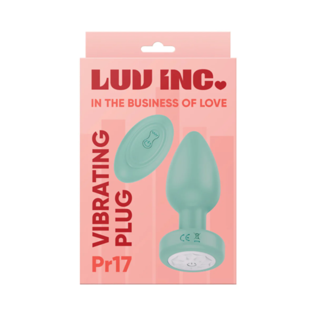A graphic featuring the "Luv Inc-Vibrating Light Up Plug w Remote-Mint" with a light-up rocket design encircled by stars, placed on a green background and accompanied by the text No Image above.