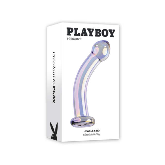 The Iridescent setup guide for the Evolved-Playboy Jewel King features a model image, detailed installation instructions, and illustrations of components like a discharge pipe and check valve. Its durable design ensures reliability and efficiency akin to 